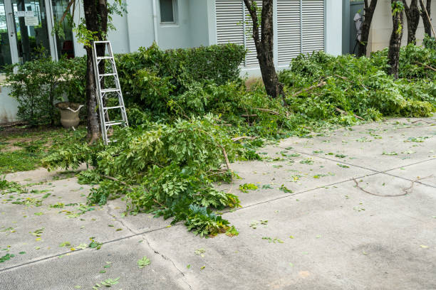 Best Aeration Services  in East Glenville, NY